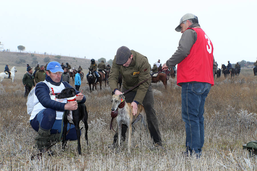 Fotos: Octavos de final del Campeonato Nacional de Galgos