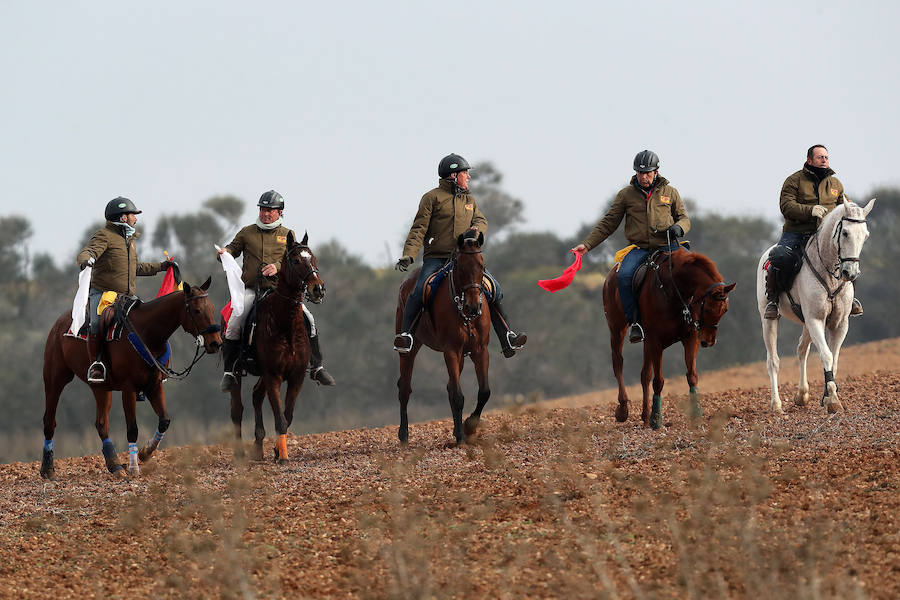 Fotos: Octavos de final del Campeonato Nacional de Galgos