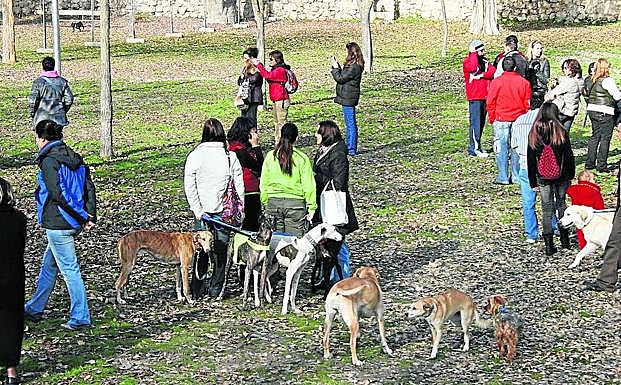 Perros en el parque Huerta del Duque de Cuéllar. 