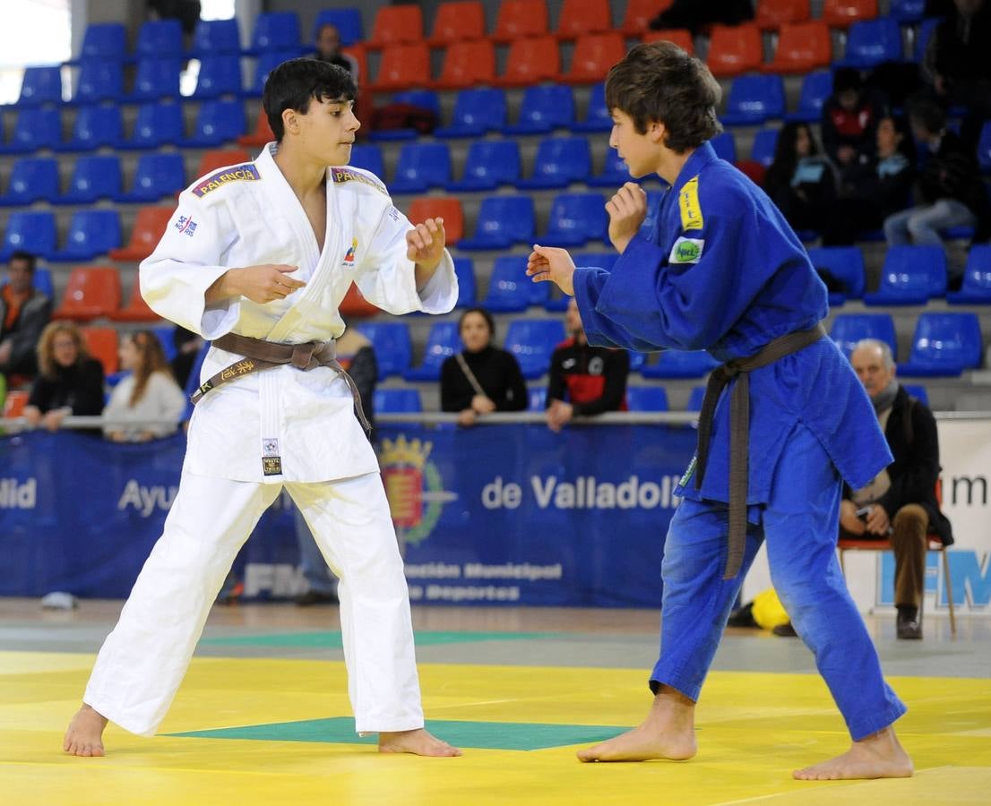 Fotos: Deporte Base del 12 y 13 de enero. Valladolid