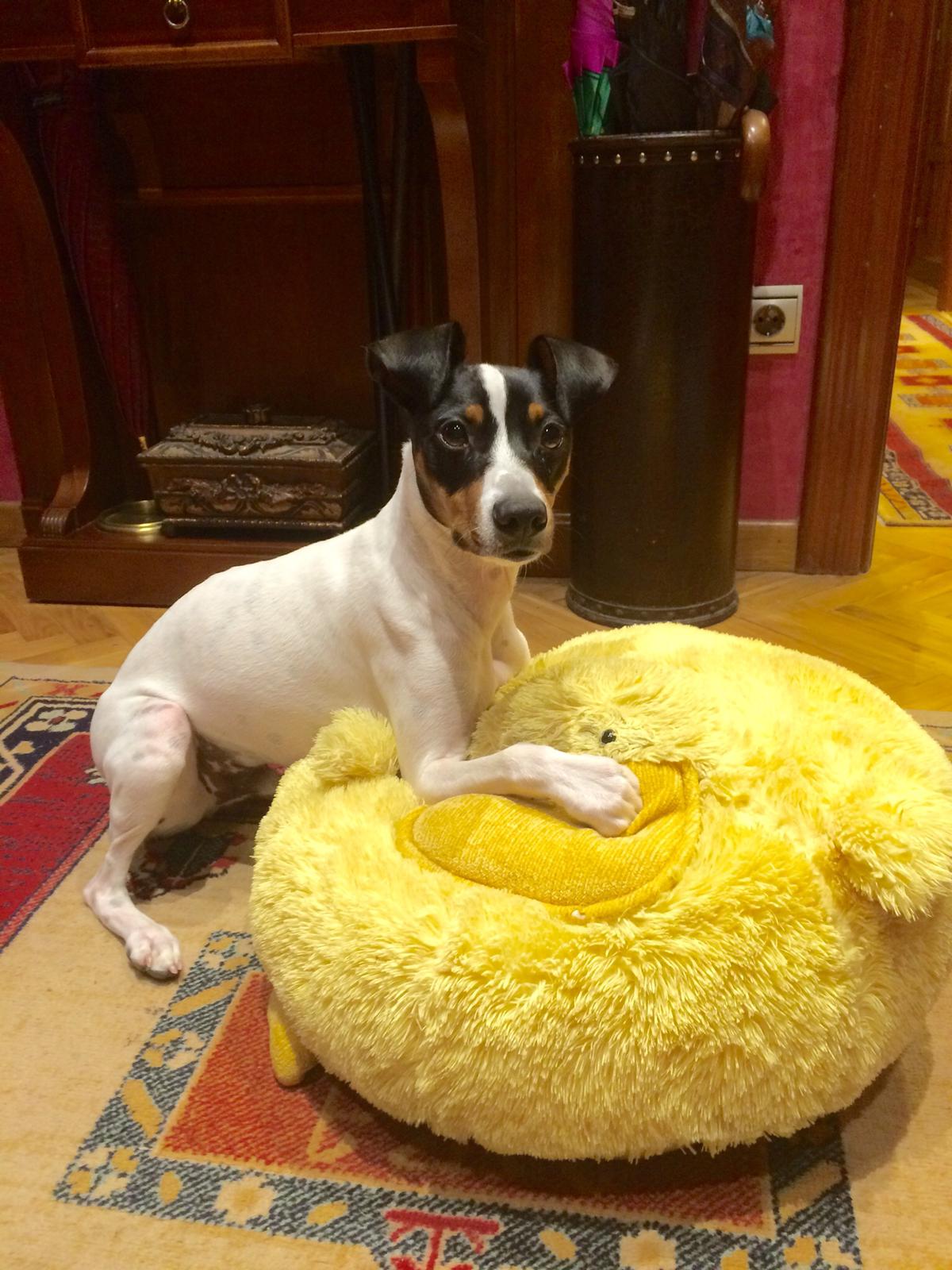 Mi bodeguero es Kiyo.