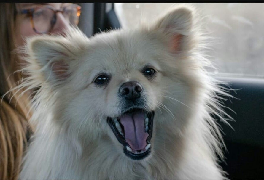 Coco.