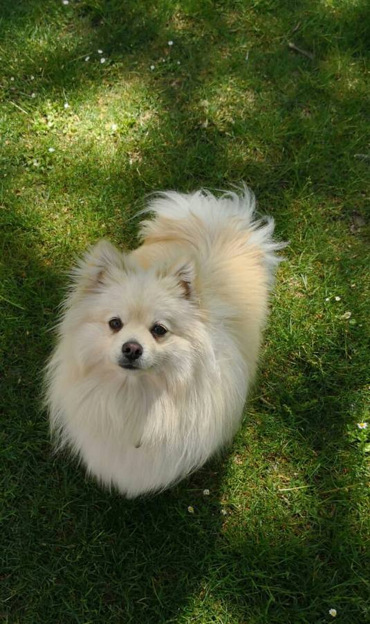 Coco.