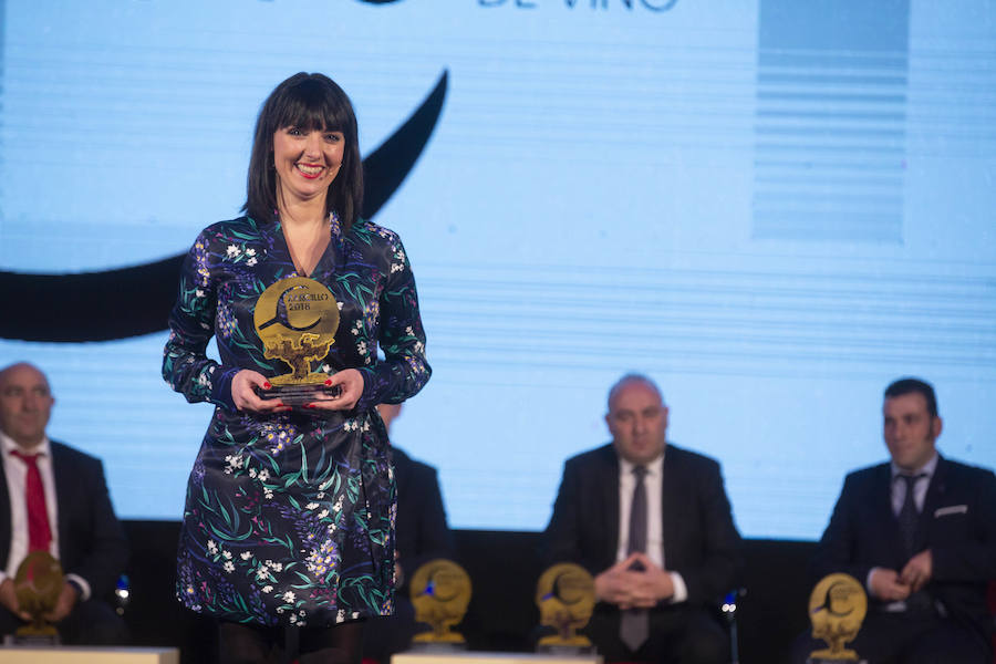 Fotos: Entrega de los premios Zarcillo de Oro 2018