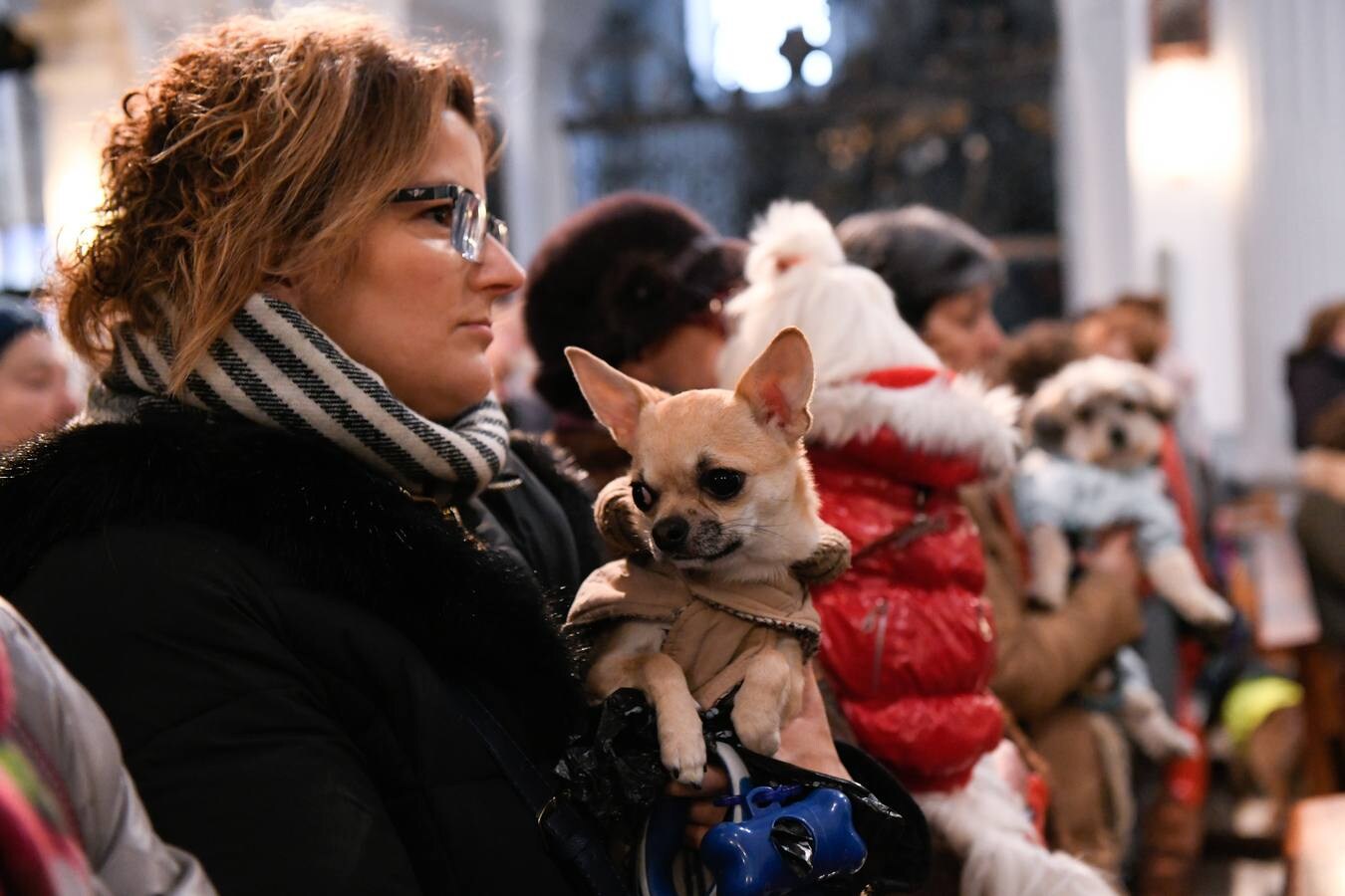 Fotos: Las mascotas reciben la bendición de San Antón en Valladolid