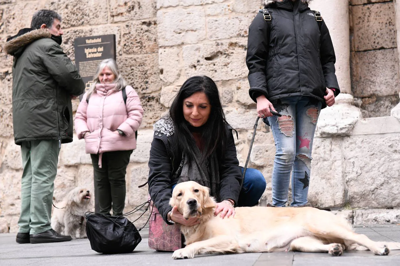 Fotos: Las mascotas reciben la bendición de San Antón en Valladolid