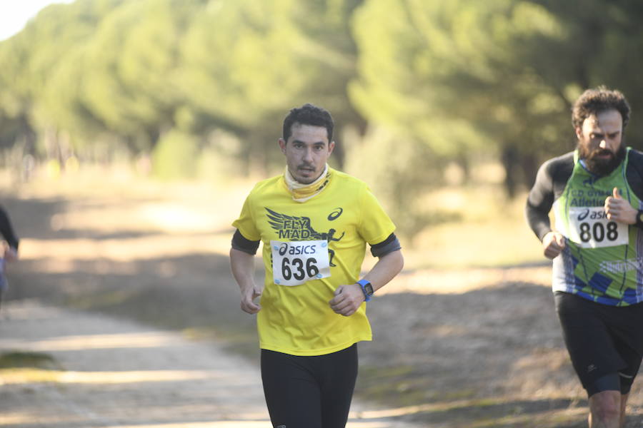 Fotos: XXVII Cross Popular de San Antón en Valladolid (III)