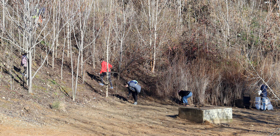 Fotos: Un grupo de jóvenes y niños hacen limpieza en las orillas del Pisuerga, en Valladolid