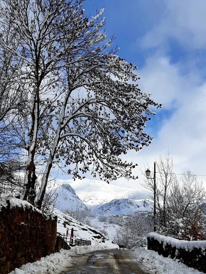 Fotos: La Montaña Palentina recibe la primera nevada de 2019