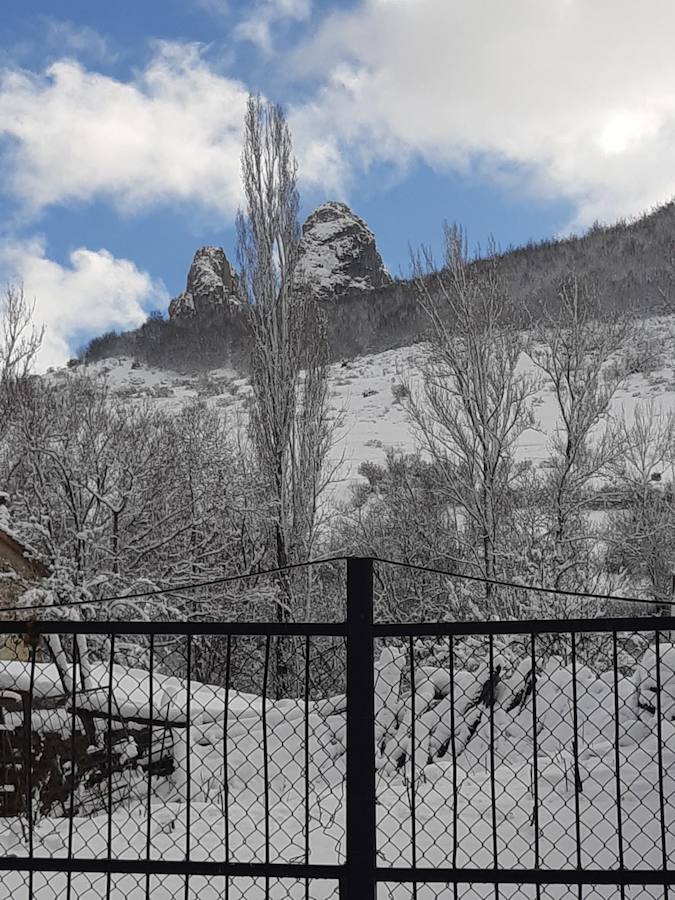 Fotos: La Montaña Palentina recibe la primera nevada de 2019