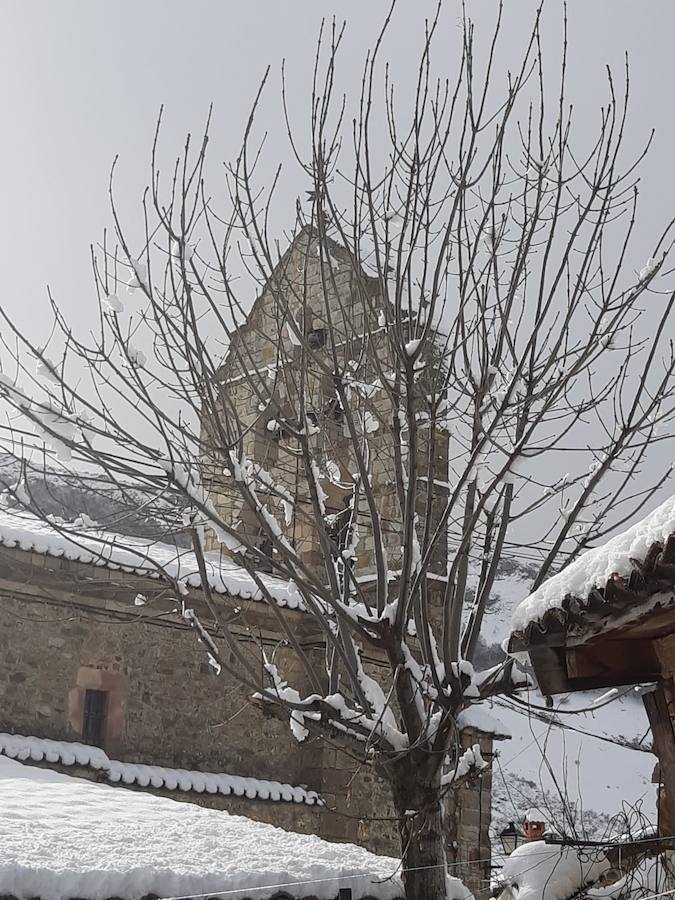 Fotos: La Montaña Palentina recibe la primera nevada de 2019