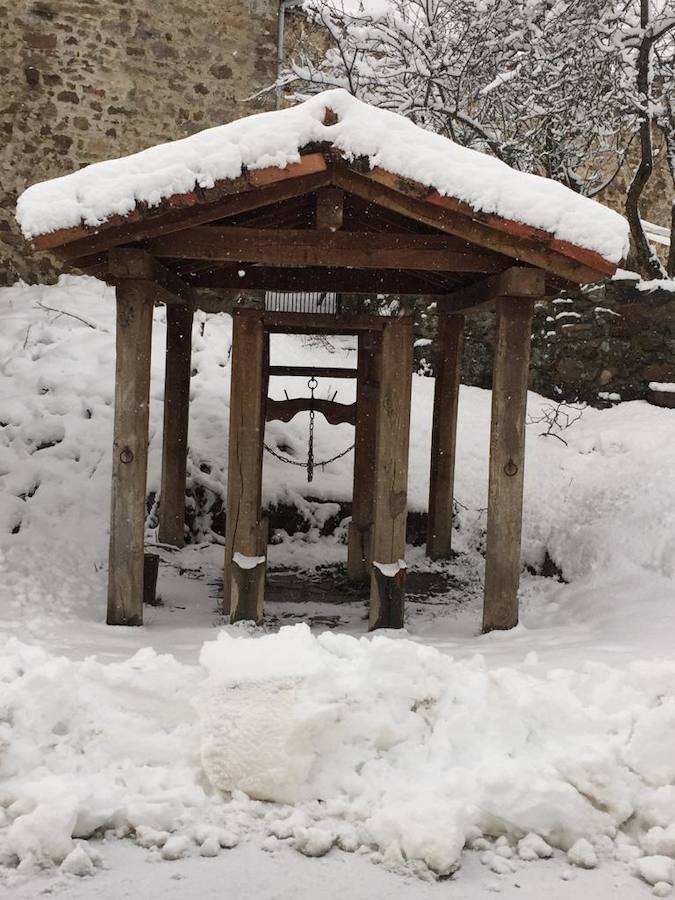 Fotos: La Montaña Palentina recibe la primera nevada de 2019