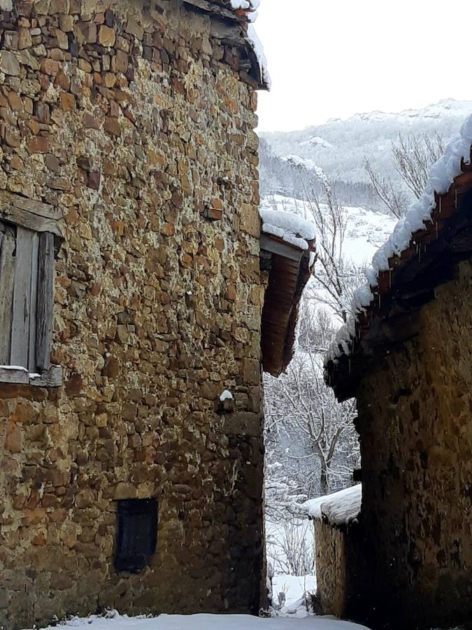 Fotos: La Montaña Palentina recibe la primera nevada de 2019