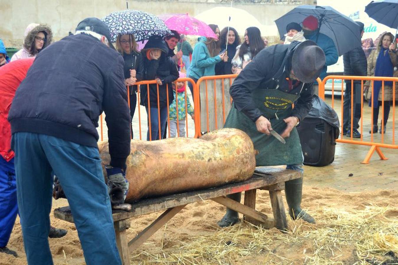 Fotos: Fiesta de la matanza en Dueñas
