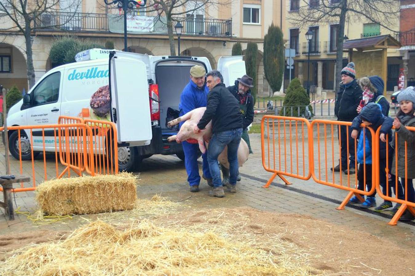 Fotos: Fiesta de la matanza en Dueñas