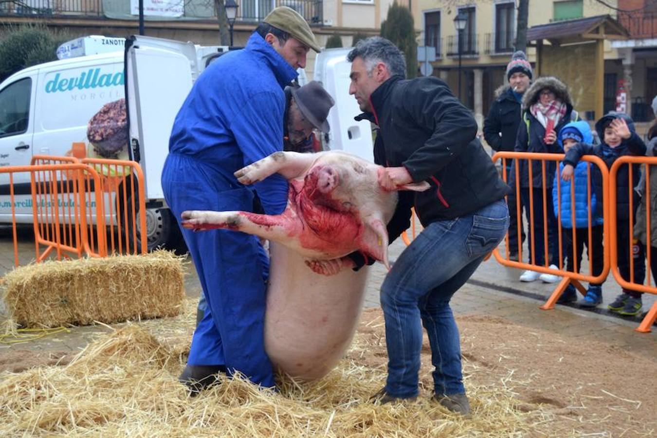 Fotos: Fiesta de la matanza en Dueñas