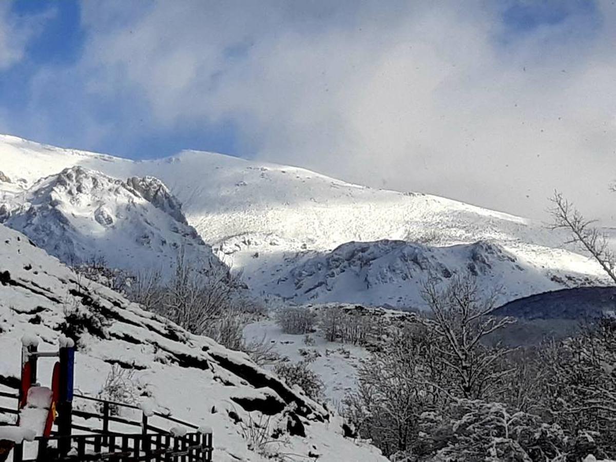 Fotos: La Montaña Palentina recibe la primera nevada de 2019