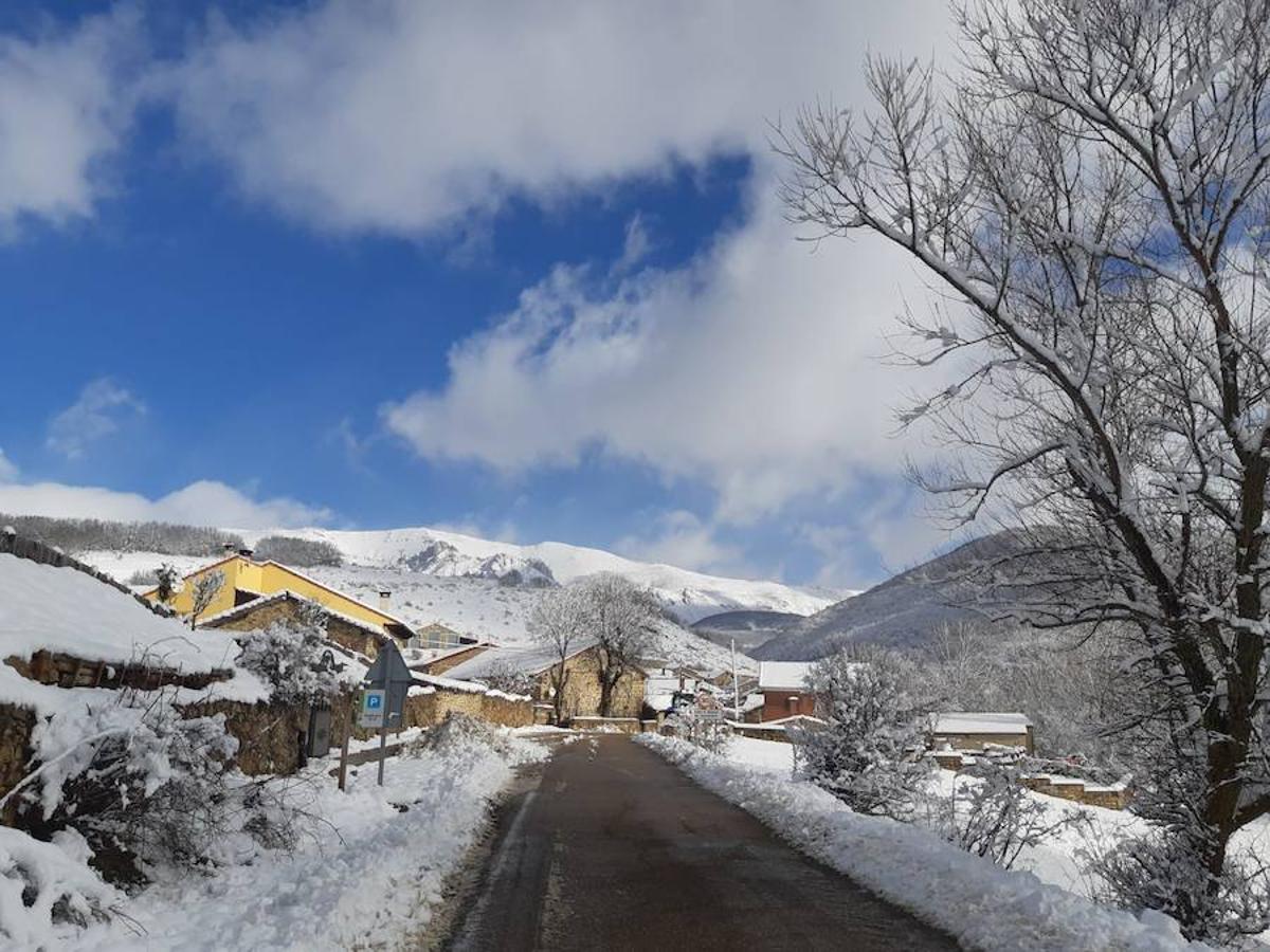 Fotos: La Montaña Palentina recibe la primera nevada de 2019