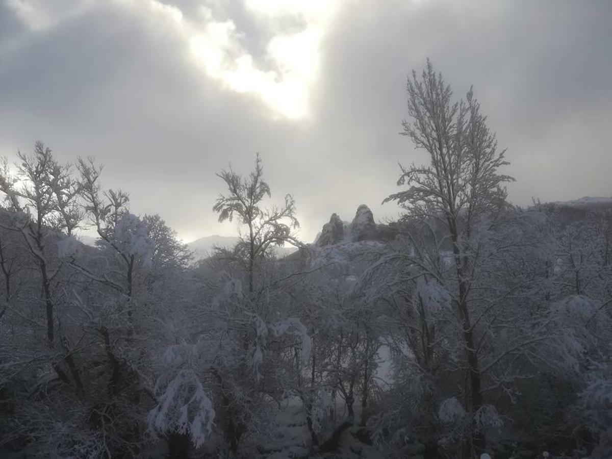 Fotos: La Montaña Palentina recibe la primera nevada de 2019