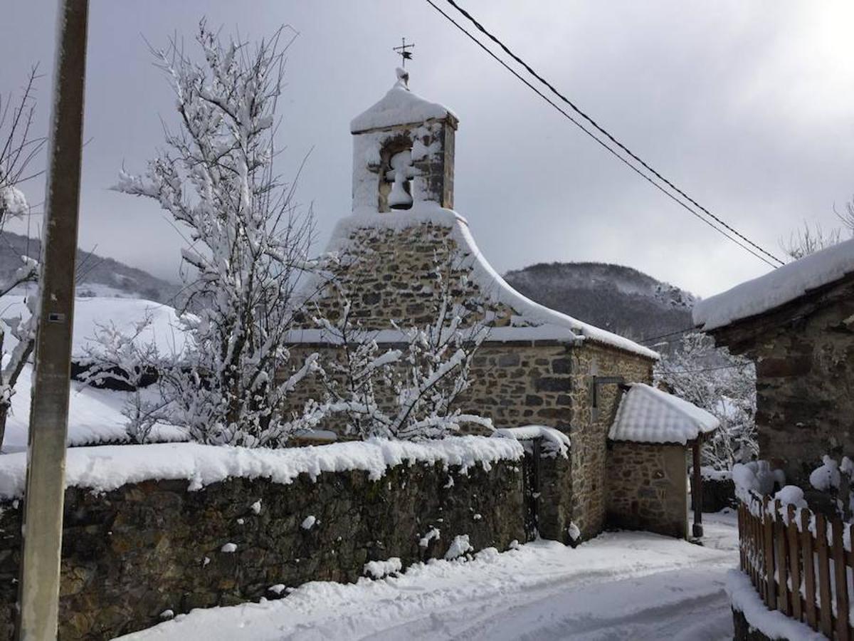 Fotos: La Montaña Palentina recibe la primera nevada de 2019