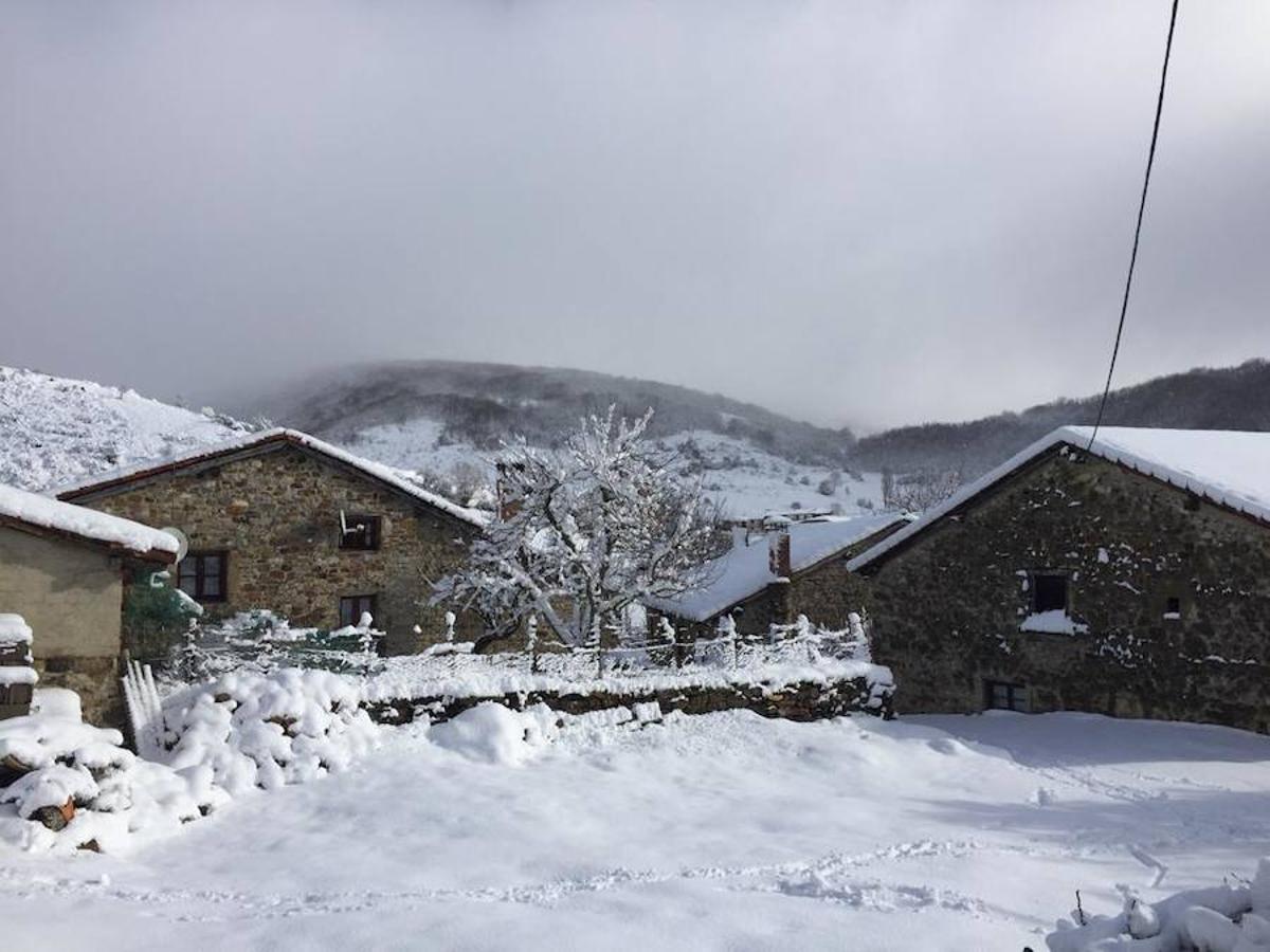 Fotos: La Montaña Palentina recibe la primera nevada de 2019
