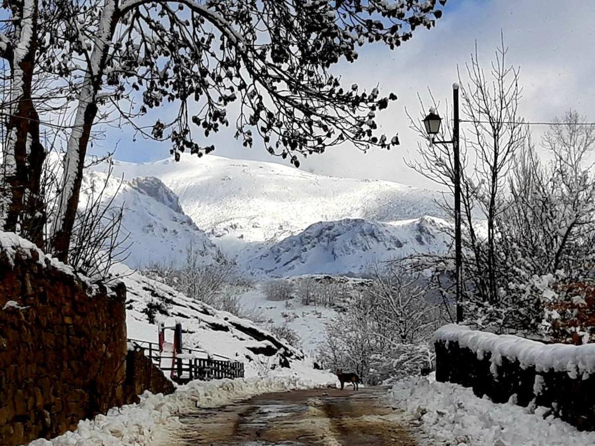 Fotos: La Montaña Palentina recibe la primera nevada de 2019