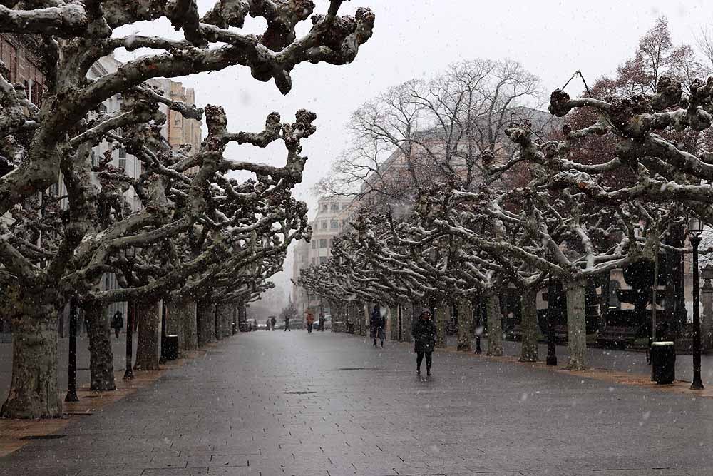 Fotos: Llegan los primeros copos de nieve a Burgos