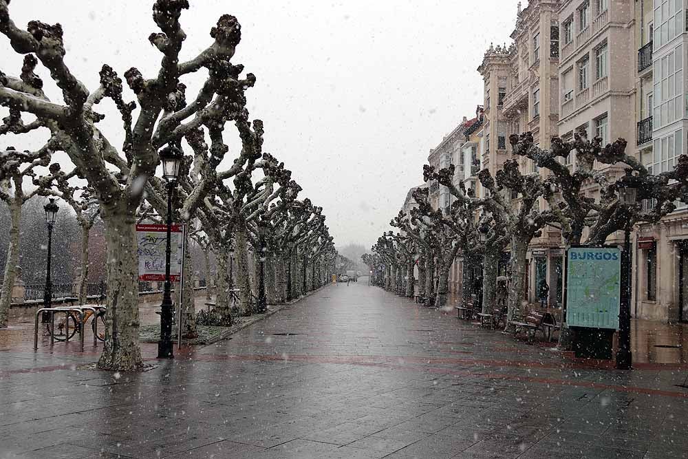 Fotos: Llegan los primeros copos de nieve a Burgos