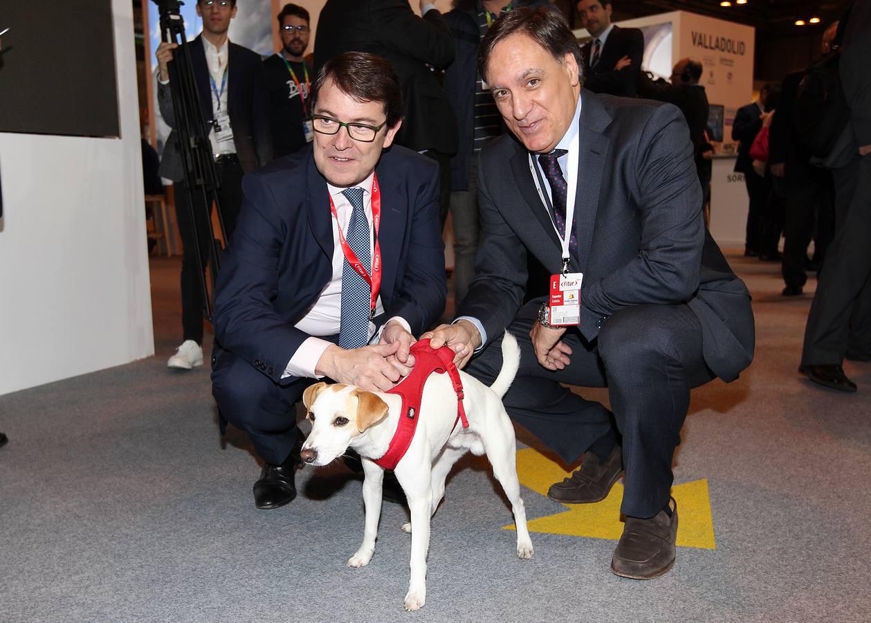 El alcalde de Salamanca, Carlos García, junto al presidente del PPCyL, Alfonso Fernández Mañueco, acarician al perro Piper que promociona el turismo con mascotas.