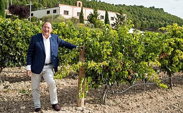 Carlos Moro posa en el viñedo que rodea a bodegas Matarromera. 