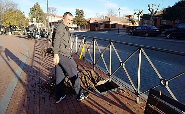 Preparación de los alcorques en Olmedo. 