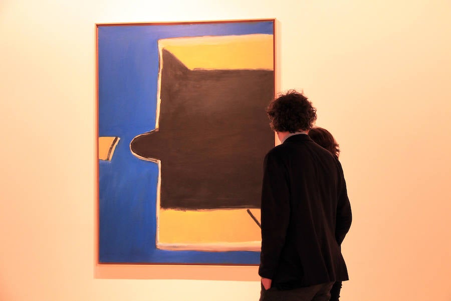 Fotos: Inauguración de la exposición &#039;Guerrero/Vicente&#039; en el Museo Esteban Vicente.