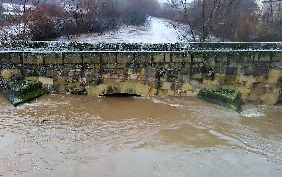 El Arlanza a su paso por Palacios de la Sierra.