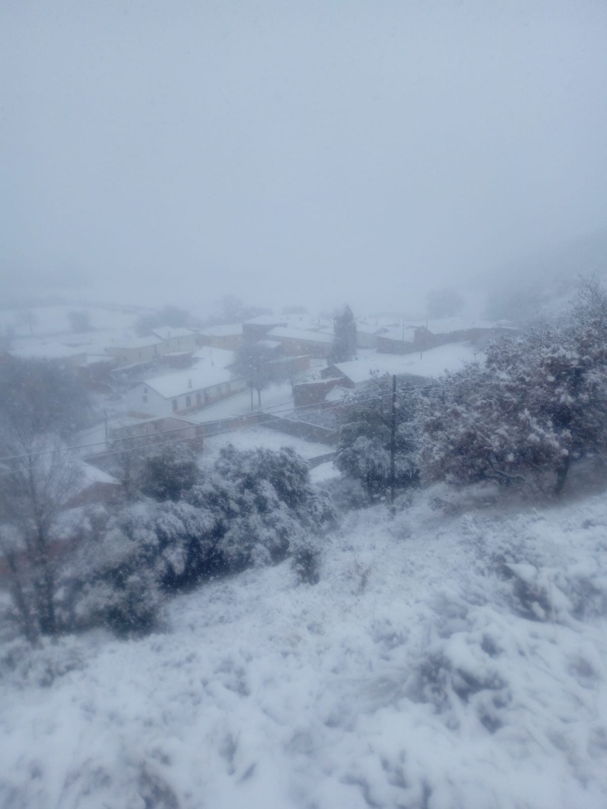 La nieve cierra dos puertos en León y Burgos, embolsa camiones en la A-52, en Sanabria, y obliga a usar cadenas en tres tramos. En las fotos, imágenes de Villaviciosa de la Ribera.