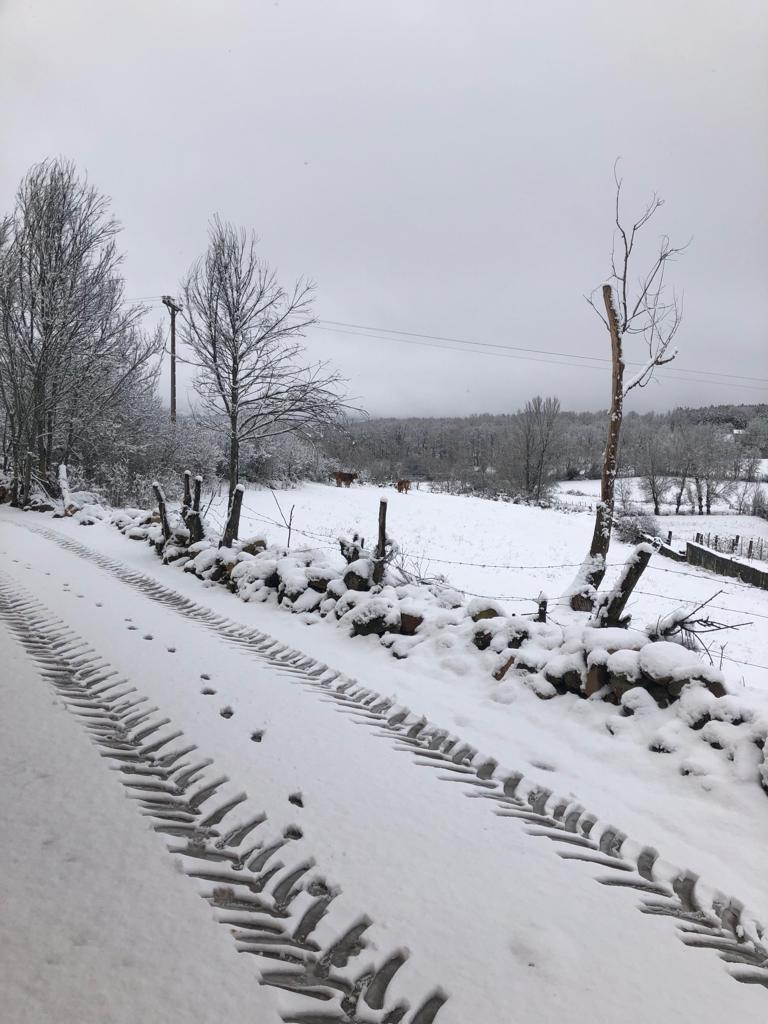 La nieve cierra dos puertos en León y Burgos, embolsa camiones en la A-52, en Sanabria, y obliga a usar cadenas en tres tramos. En las fotos, imágenes de León capital y de la provincia de León