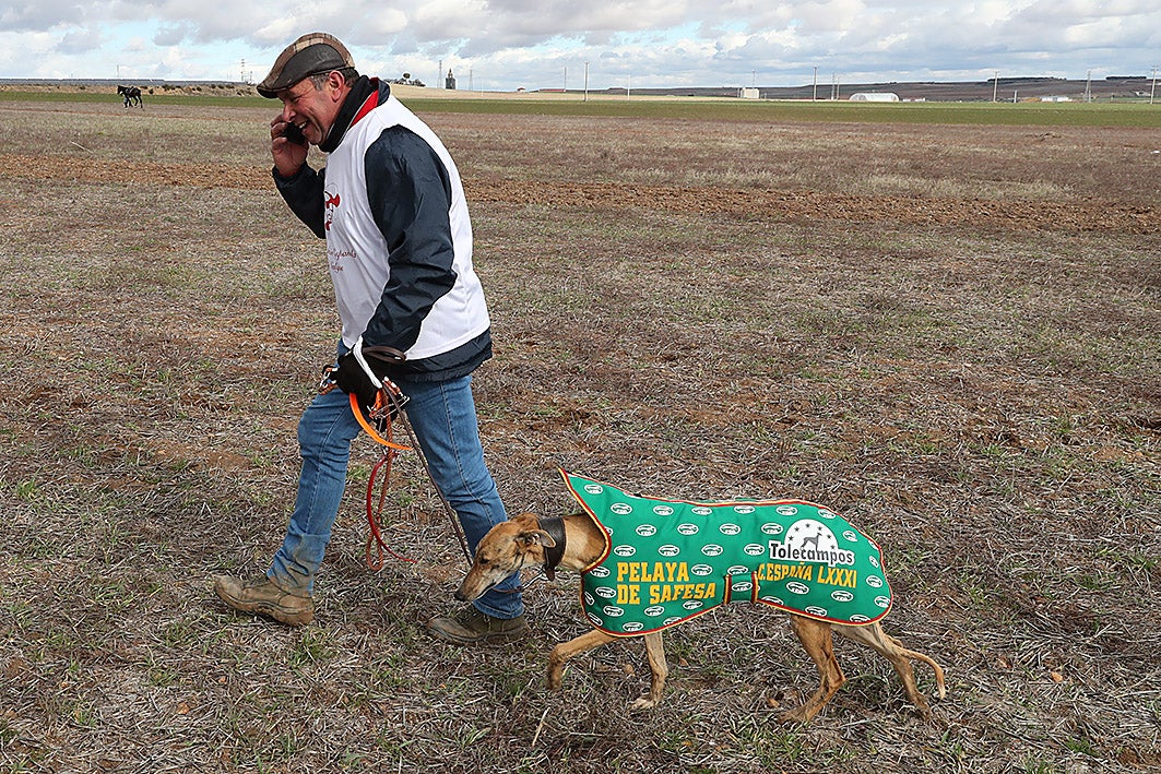 Fotos: La vallisoletana Pelaya de Safesa, campeona de España de Galgos