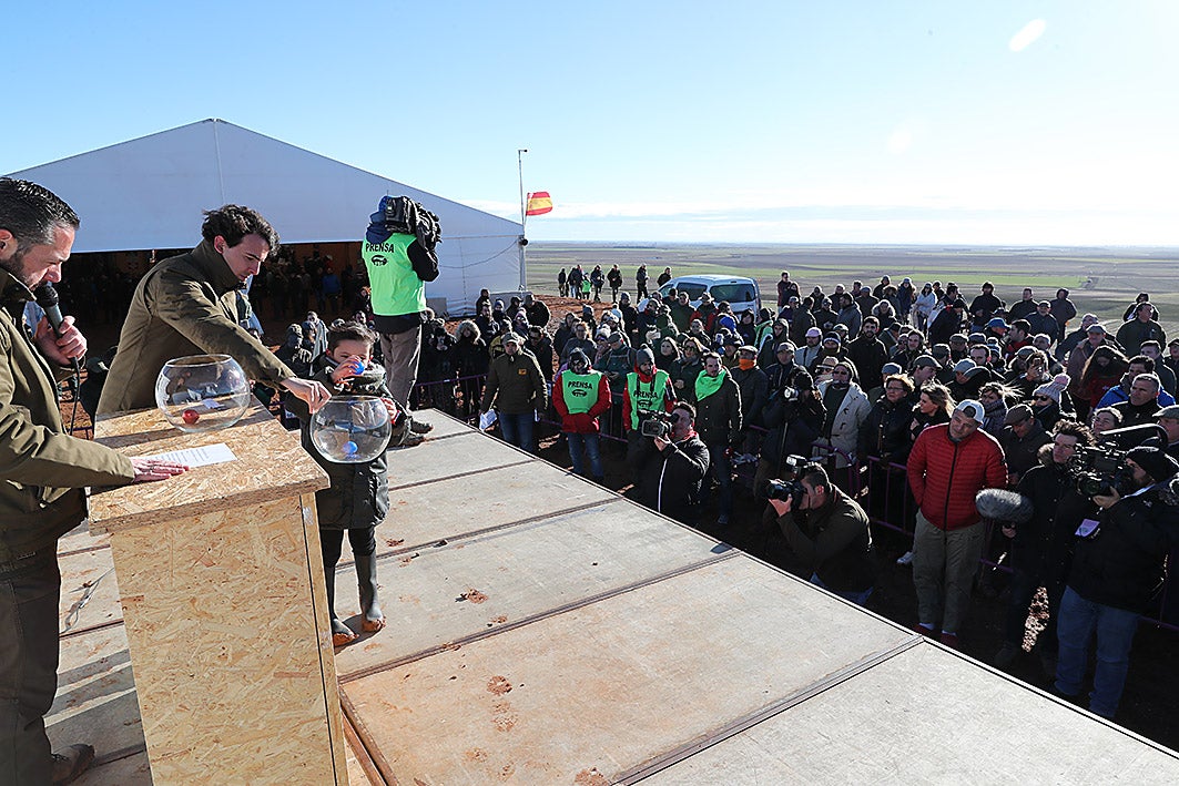 Fotos: La vallisoletana Pelaya de Safesa, campeona de España de Galgos