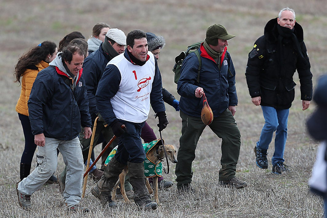Fotos: La vallisoletana Pelaya de Safesa, campeona de España de Galgos