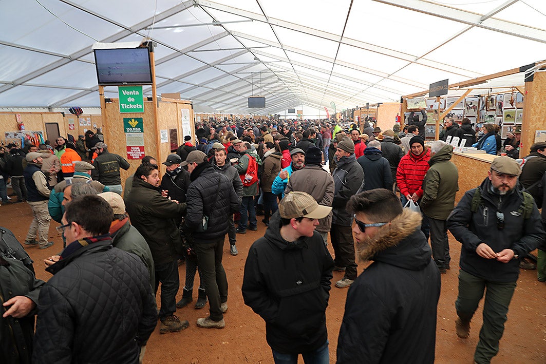Fotos: La vallisoletana Pelaya de Safesa, campeona de España de Galgos