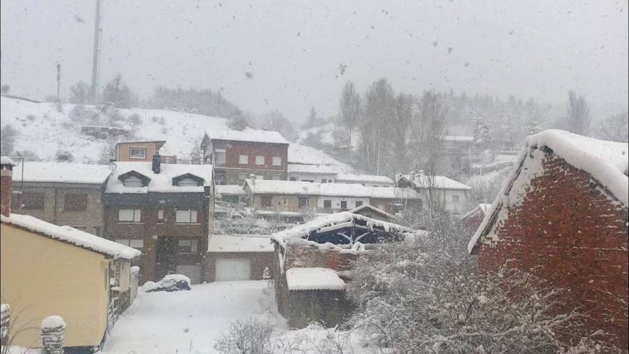 Fotos: Temporal de nieve en Guardo