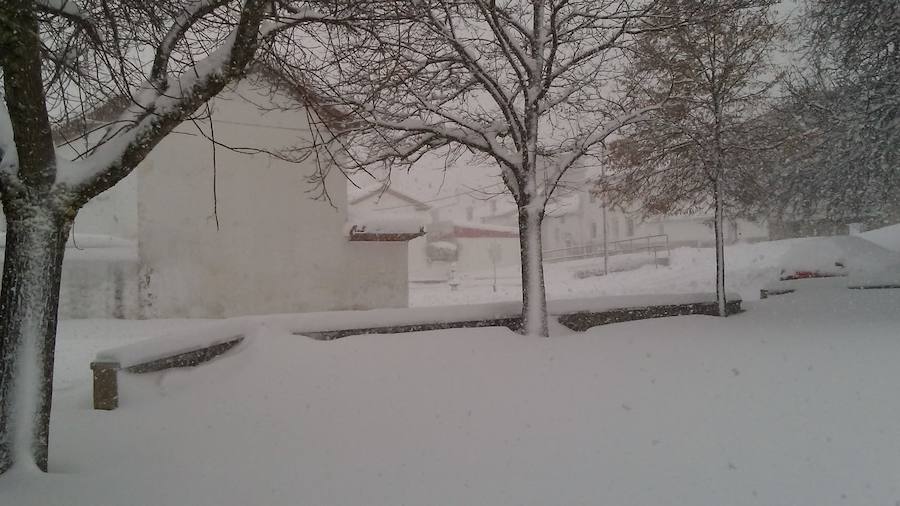 Fotos: Temporal de nieve en Guardo