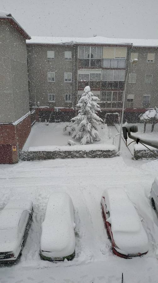 Fotos: Temporal de nieve en Guardo