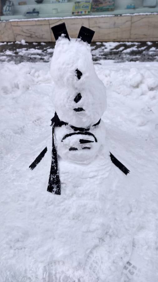 Fotos: Temporal de nieve en Guardo