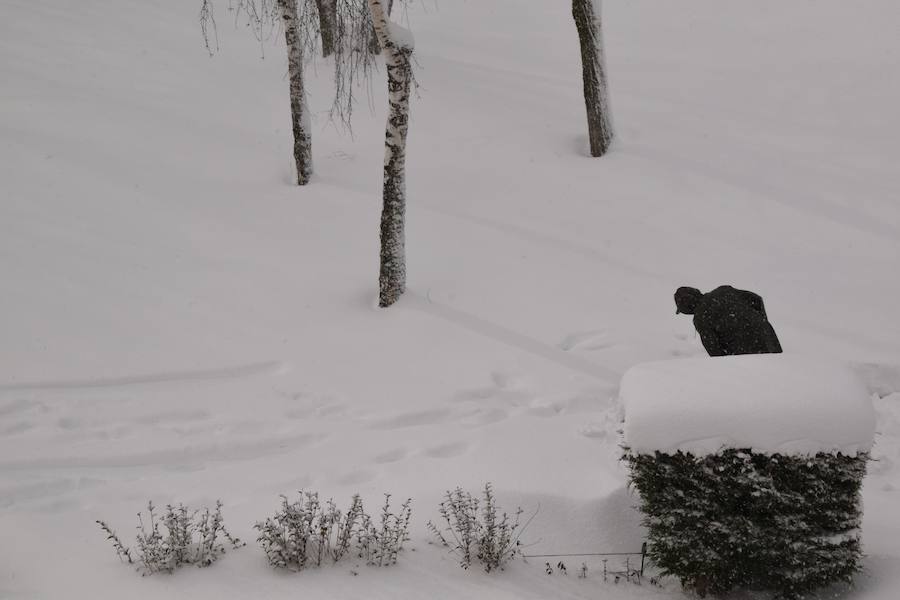 Fotos: Temporal de nieve en Guardo