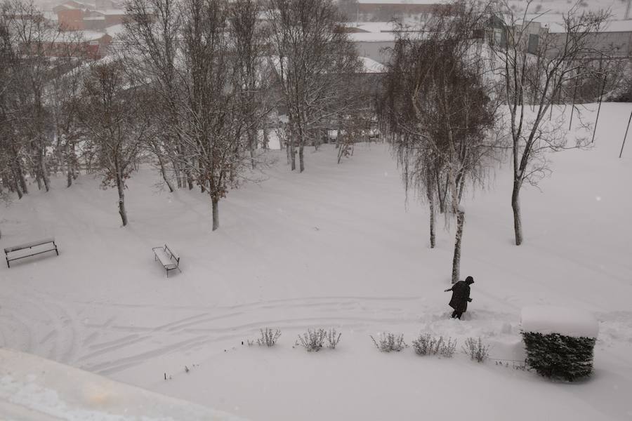 Fotos: Temporal de nieve en Guardo