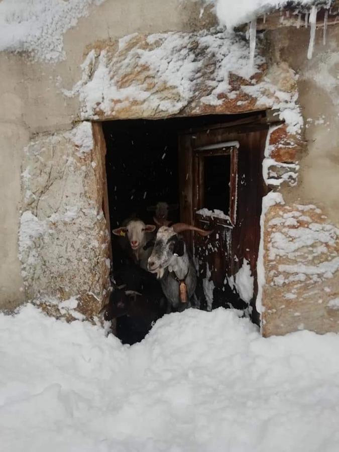 Fotos: La huella de &#039;Helena&#039; en la provincia de León