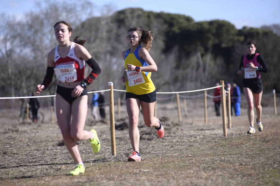 Fotos: Fotografías del XXXI Cross Ciudad de Valladolid (1/4)