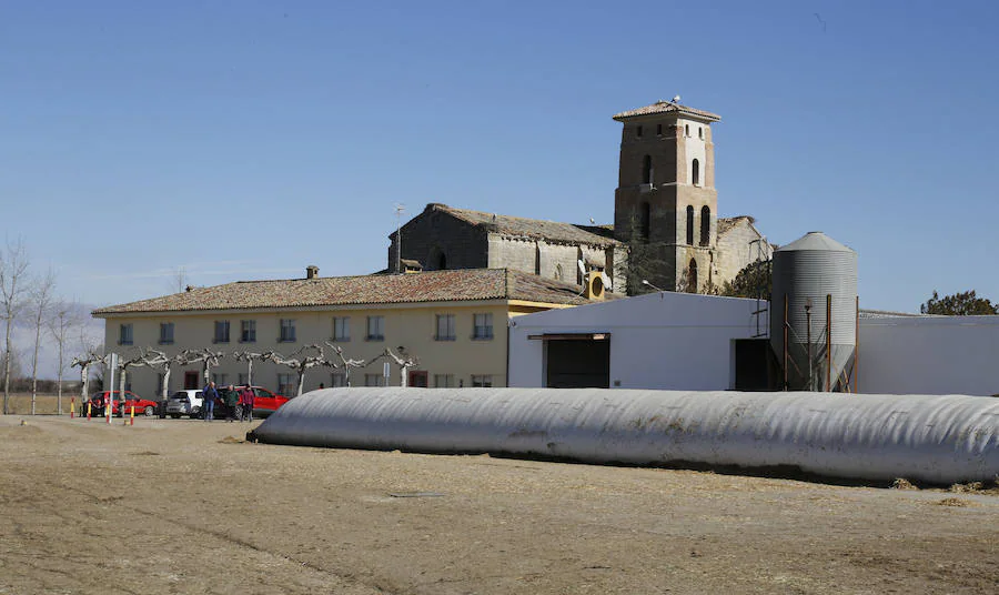 Fotos: Finca ganadera Santa Cruz en Ribas de Campos, Palencia