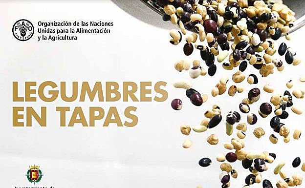 Portada del último libro de Cepeda, elaborado con la colaboración del Ayuntamiento de Valladolid. 