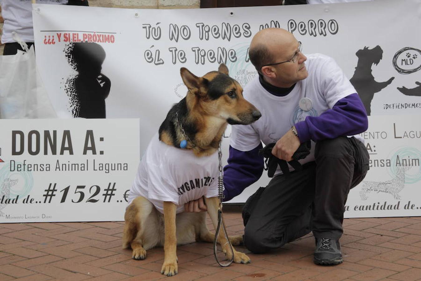 Más de un millar de personas se manifestaron ayer en Laguna de Duero contra el envenenamiento de perros, que se se registra desde hace unos años en parques públicos y zonas caninas del municipio.